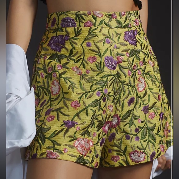 Anthropologie La Fuori Embroidered Shorts - Picture 2 of 5